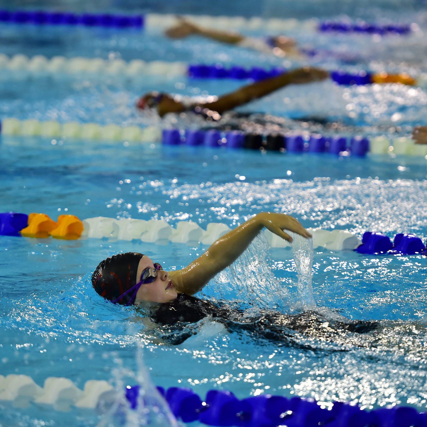 Northallerton Amateur Swimming Club The home of competitive swimming